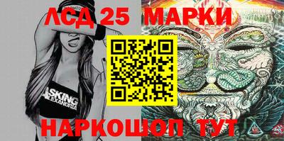 стаф Сланцы