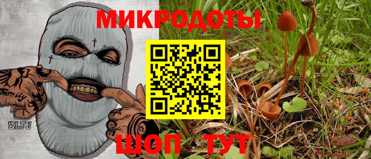 Галлюциногенные грибы Psilocybine cubensis Боровичи