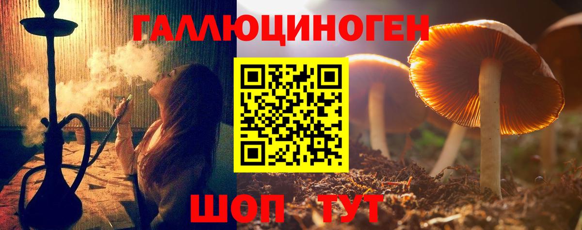 Боровичи  Псилоцибиновые грибы MAGIC MUSHROOMS  Галлюциногенные грибы мицелий  Вход с VPN 