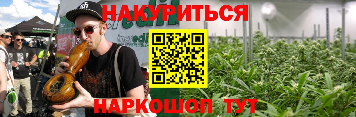 Бошки Шишки конопля Боровичи